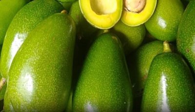 5 Potential Risks of Eating Avocados You Should Know
