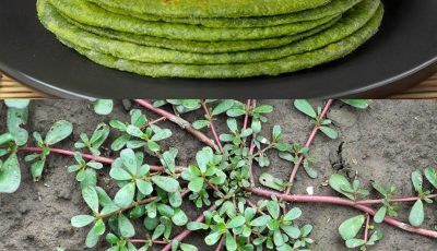Purslane: The underrated superfood with maximum health benefits