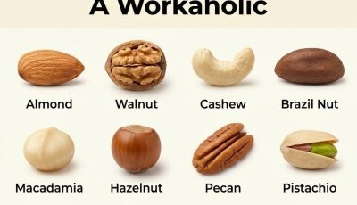 Pick a Nut: Are You Lazy or a Workaholic?