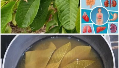 Why Guava Is the Vision Hero Big Food