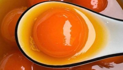 Doctors reveal that eating egg yolks causes