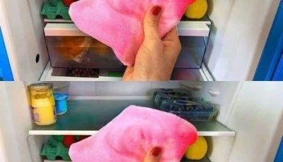 Why should you keep rags in the fridge