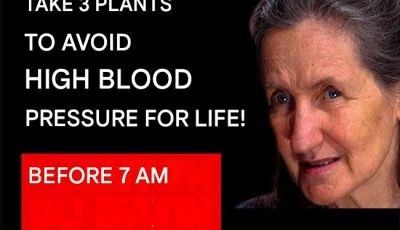 3 Miracle Plants to Lower Blood Pressure and Cleanse Arteries – Barbara O’Neill’s Secrets