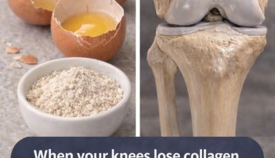 Eggshells for Knee Collagen? Here’s the Truth You Need to Know