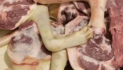 This Viral Meat Scandal Headline Misled Thousands, Here Is What Really Happened Behind the Panic