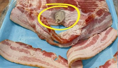 Easy Kitchen Food Safety Guide: What That Strange Bacon Chunk Really Means