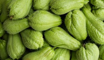 Doctors reveal that eating chayote causes ….