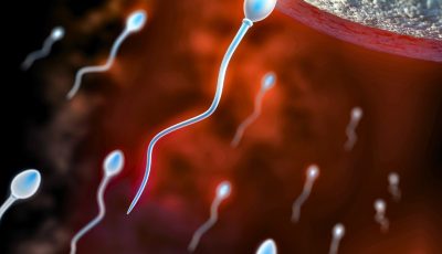 Improve Sperm Quality: Why Frequent Ejaculation Is Healthier.