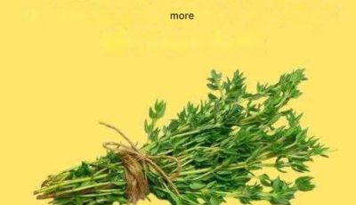 The most powerful herb: a natural remedy for multiple ailments