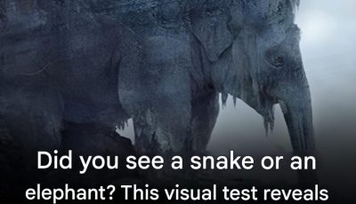 What did you see at first glance? 97% of people saw a snake! Find out if your old age will be bitter or sweet!