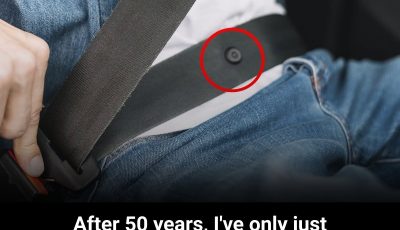 The Tiny Button on Your Seat Belt: A Small Feature With a Surprisingly Smart Purpose