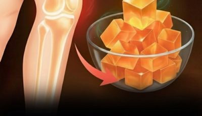 7 Nutrient-Rich Foods That May Help Maintain Joint Comfort and Flexibility