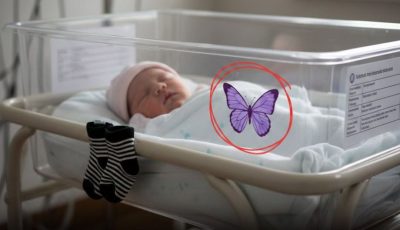 If You See A Purple Butterfly Sticker Near A Newborn, Here’s What It Means