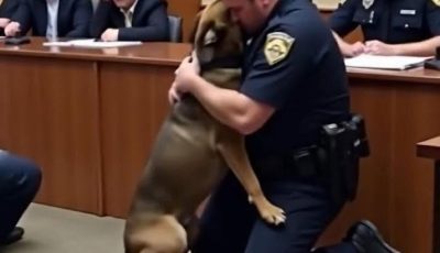 A Police Dog’s Last Breath Revealed a Secret No One Expected