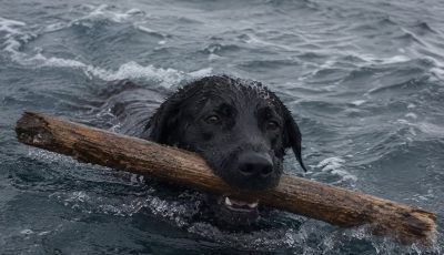They threw her into the Atlantic in the middle of the night