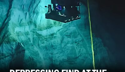 Depressing find at the bottom of the Mariana Trench is a warning to the world