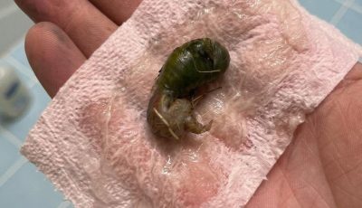 A Mysterious Discovery on Our Bathroom Floor Left Us Searching for Answers