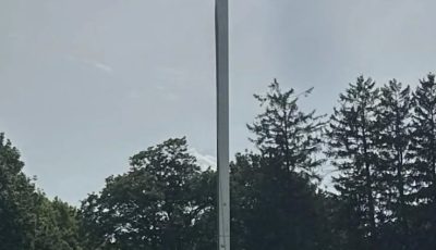 Those Aren’t Cameras! Here’s the Wild Truth Behind Those Mysterious Park Poles