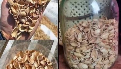 Most people throw away pistachio shells without knowing how valuable they are…